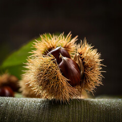 밤송이, 군밤, 밤, 가을, 열매