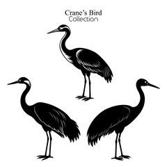 Hand Drawn Crane's Bird Black Silhouette Vector Illustration Design