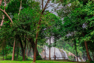 Natural blurred background of waterfalls, fast-flowing currents and water droplets from the wind blowing among the rocks and surrounded by big trees, spontaneous beauty