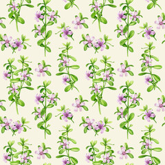 Bacopa medicinal herb seamless pattern. Hand drawn Bacopa monnieri adaptogenic herb watercolor botanical illustration. Brahmi herb ayurveda medicine seamless pattern design element