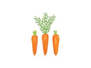 bunch of carrots