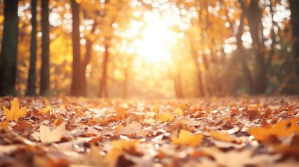 A serene autumn scene with golden leaves scattered on the ground, illuminated by the warm glow of the sun in a peaceful forest.