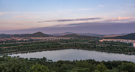 A cute cat is standing on a brown cushion in an indoor space with bamboo background.