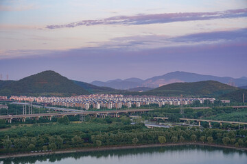 A cute cat stands on a wooden platform with a bamboo background, looking curious and adorable.