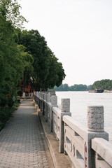 A tabby cat is seen walking on a grassy path in an outdoor setting, showcasing a domestic cat in a natural environment.