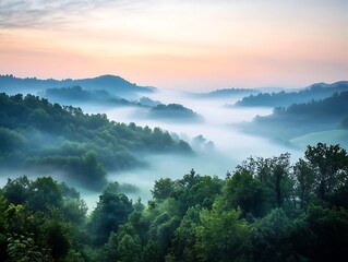Fog in nature: "Misty Morning Fog in Nature Over Rolling Hills and Forest"