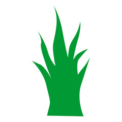 Green grass vector decoration