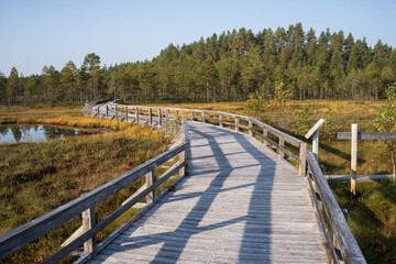 winding wooden pathway through Soljastensuo swamp in Seitseminen National Park, Finland