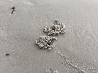 Small round sand balls are formed by wind crabs on the beach.