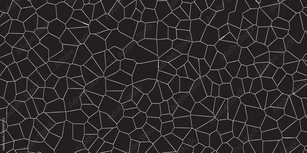Poster abstract black broken stained glass background design with white line. geometric polygonal backgroun