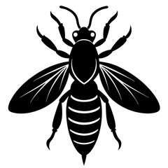  Asian giant hornet silhouette vector illustration