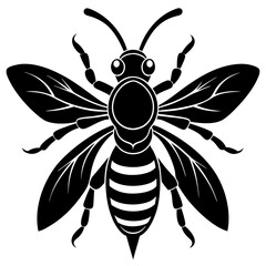  Asian giant hornet silhouette vector illustration