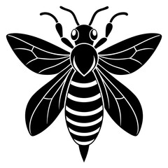  Asian giant hornet silhouette vector illustration