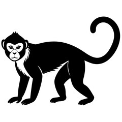 Capuchin monkey silhouette vector illustration