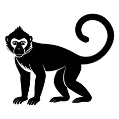 Capuchin monkey silhouette vector illustration