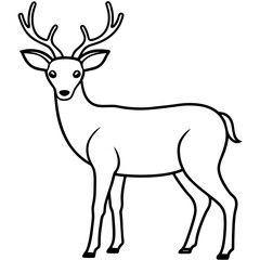  Deer line art vector illustration 