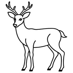  Deer line art vector illustration 