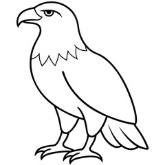  Eagle line art vector illustration