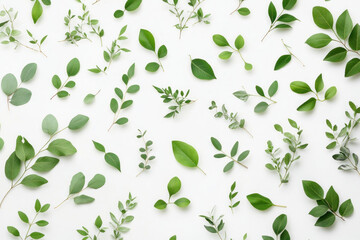 Obraz premium Green leaves on white background, creating a fresh and vibrant contrast with nature's beauty.