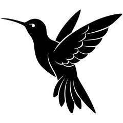 Hummingbird silhouette vector illustration