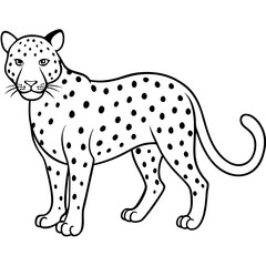 leopard cartoon isolated on white