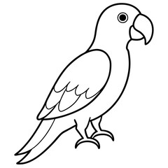 Parrot line art vector illustration 