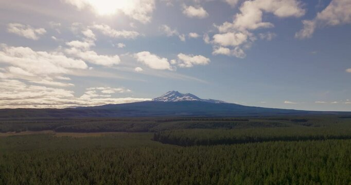 Flying over a forest towards Mount Ruapeha, Central North Island, New Zealand.