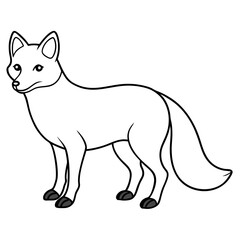 Arctic fox line art vector illustration