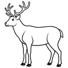  Caribou line art vector illustration 