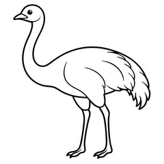 Emu line art vector illustration one white