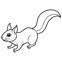  Flying squirrel line art vector illustration 