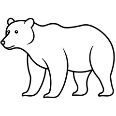 polar bear vector illustration