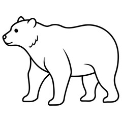 polar bear vector illustration