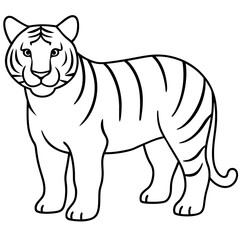  Siberian tiger line art vector illustration