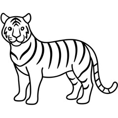 cartoon zebra cartoon