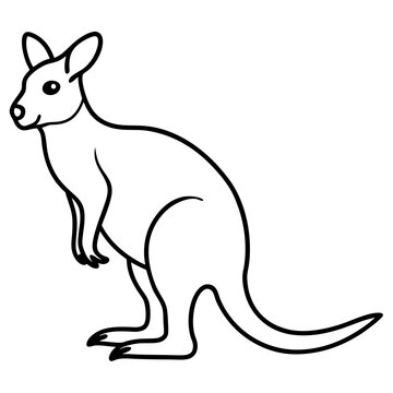 recommend clip art: kangaroo illustration
