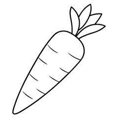  Carrot line art vector illustration 
