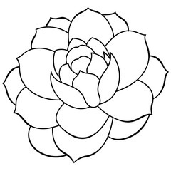 Peony line art vector illustration