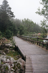 wooden bridge over the river