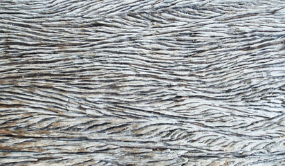 close up of a bark old wood background rough with empty space