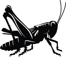 Fototapeta premium A grasshopper Insect animal silhouette vector art illustration