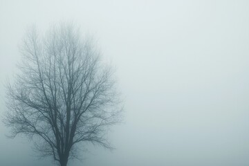 Thick White Fog Background in Nature