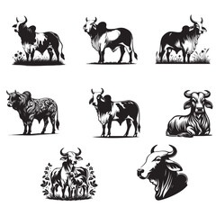 American Brahman vector