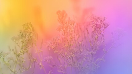 Colorful Abstract Floral Background with Soft Blurring