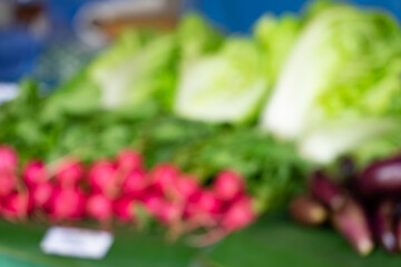 A bunch of vegetables including radishes, lettuce, and eggplant are displayed on a table. The vegetables are arranged in a way that makes them look fresh and inviting. Scene is one of abundance