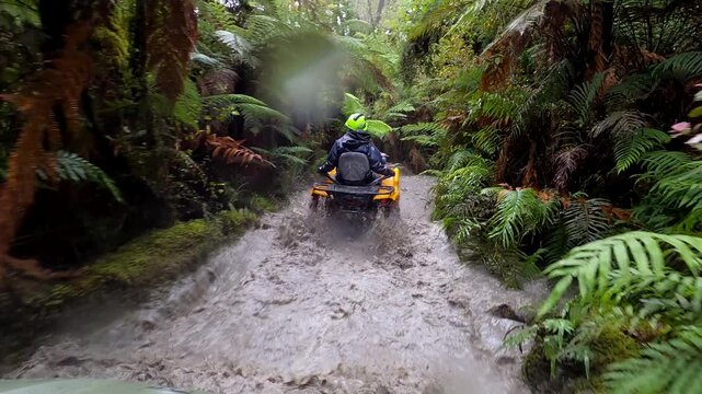 A quad bike ride along a narrow mud and water trail through the rainforest.