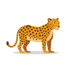  Jaguar animal isolated flat vector illustration on white background.