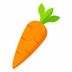 carrot illustration
