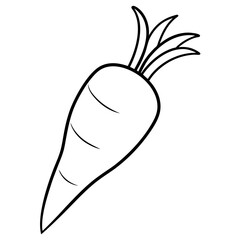 Parsnip line art vector illustration