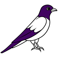 Purple martin line art vector illustration 
